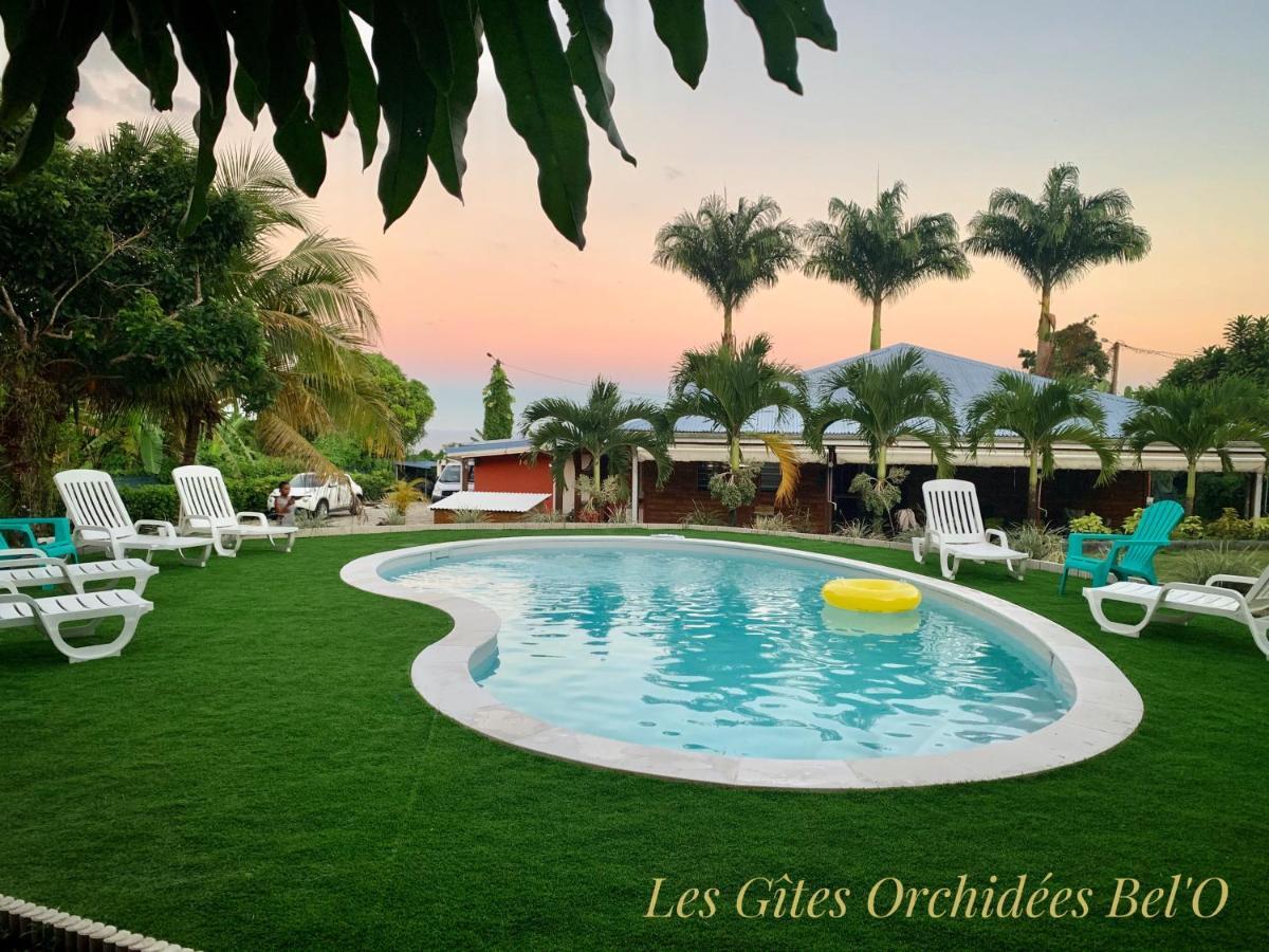 Les Gites Orchidees Bel'O Capesterre-Belle-Eau Exteriör bild